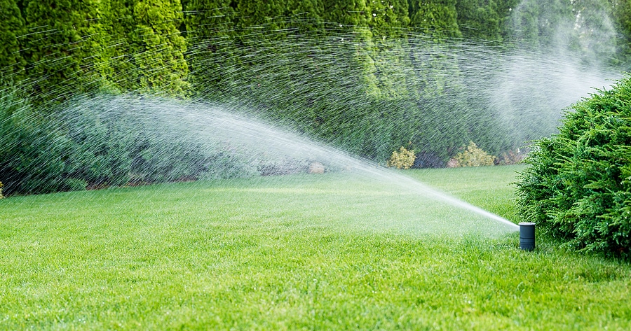 Top Benefits of Professional Irrigation Installation