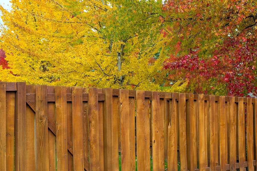 Reasons to Install a Backyard Fence