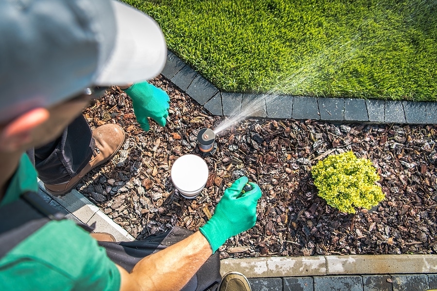 How to Tell if Your Irrigation System Is Wasting Water
