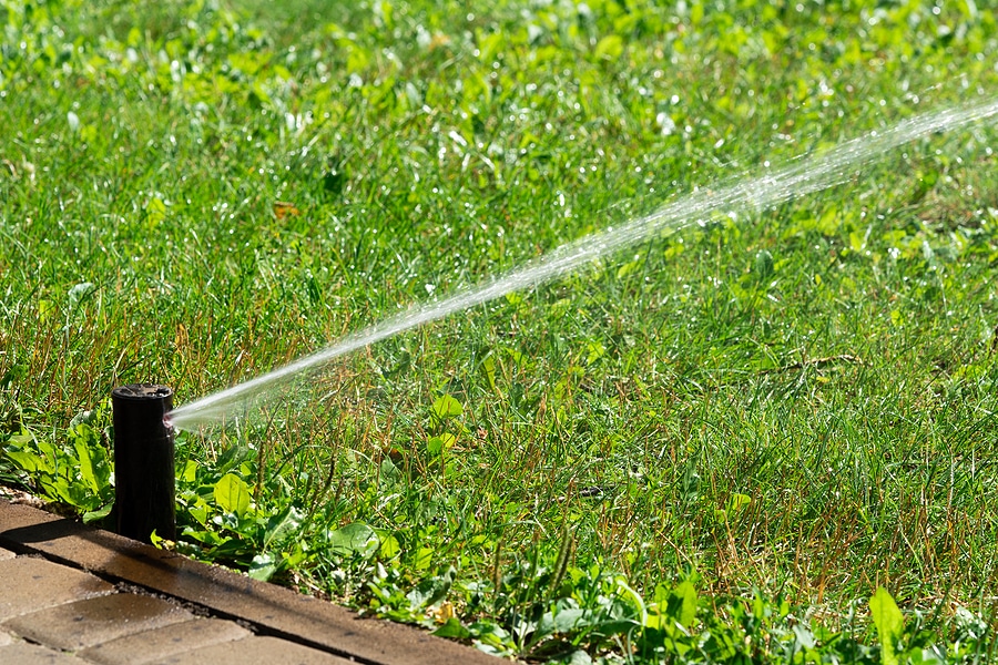 Check Out our Irrigation System Maintenance Packages