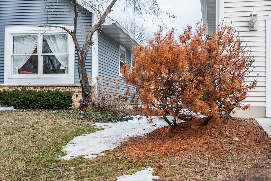 Preparing for the Spring Thaw