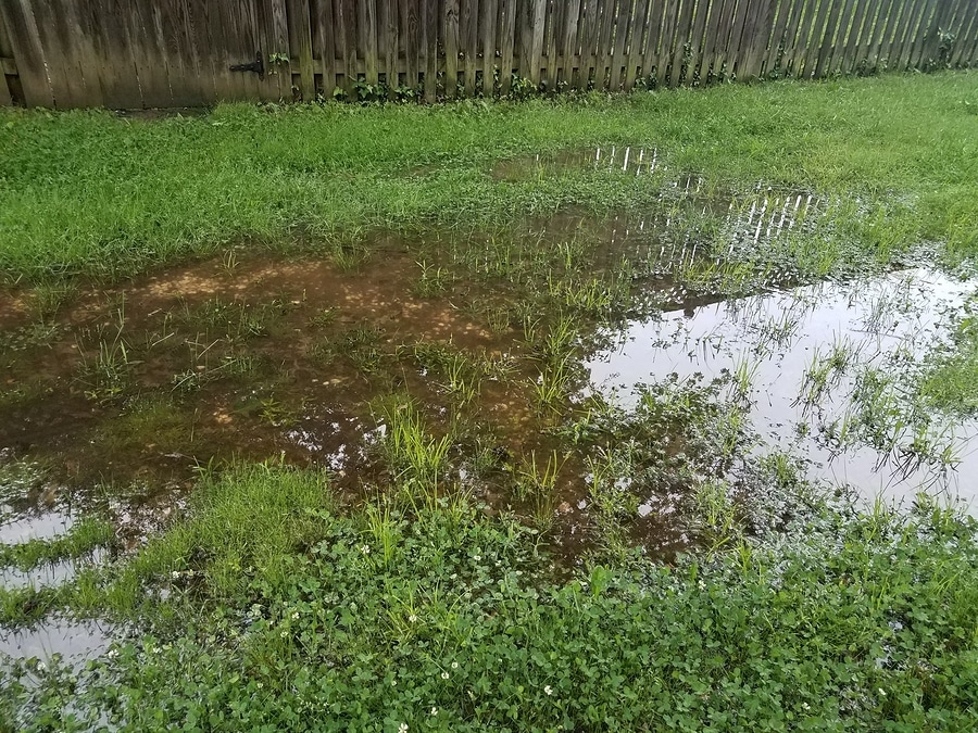 Poor Yard Drainage