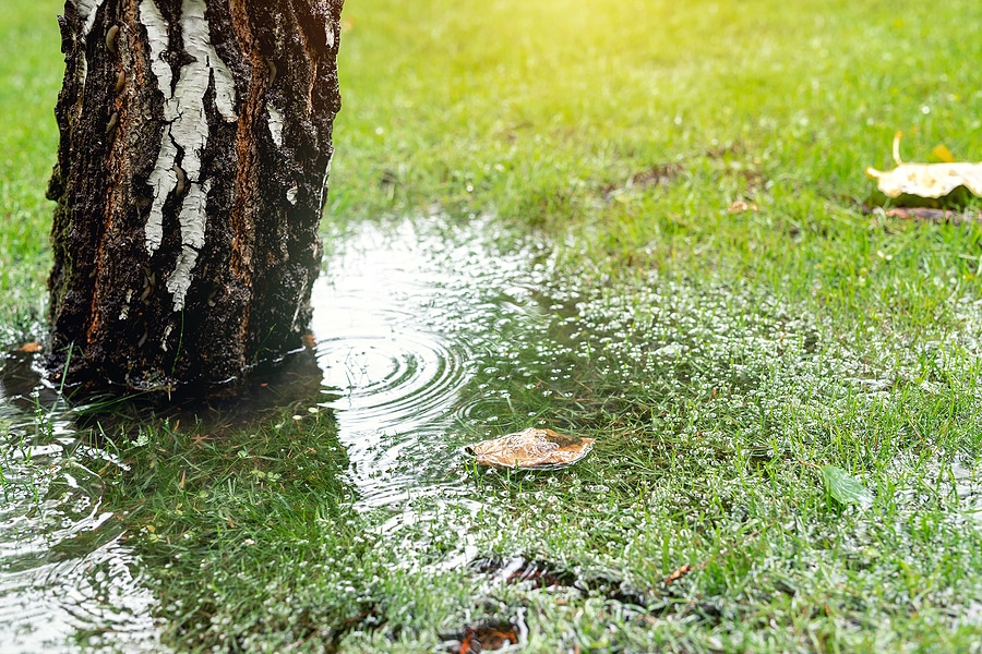 Why Does Proper Yard Drainage Matter?