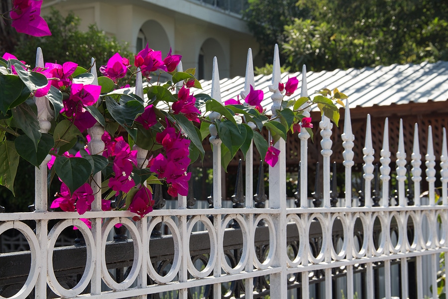 How Does a Fence Increase Home Value?