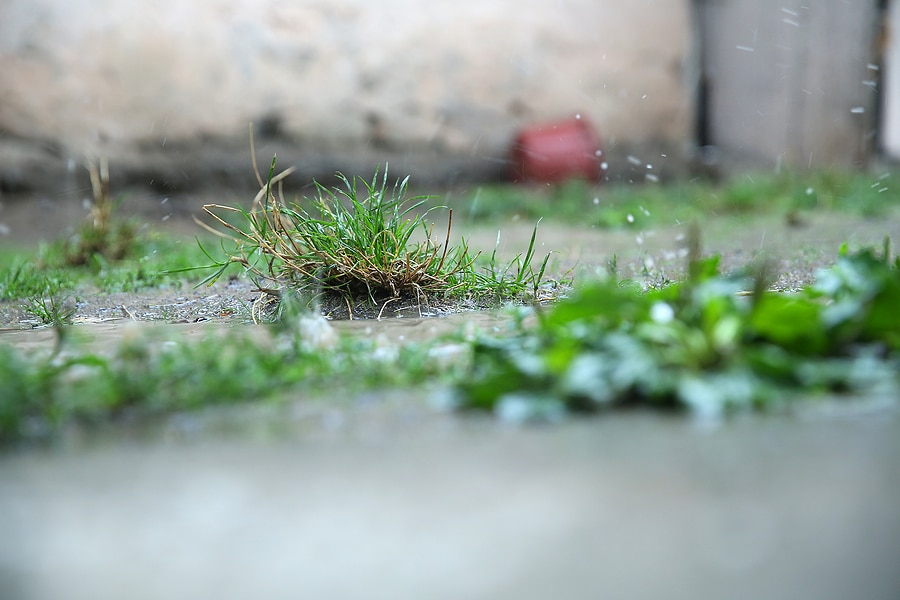 The Hidden Costs of Ignoring Poor Drainage