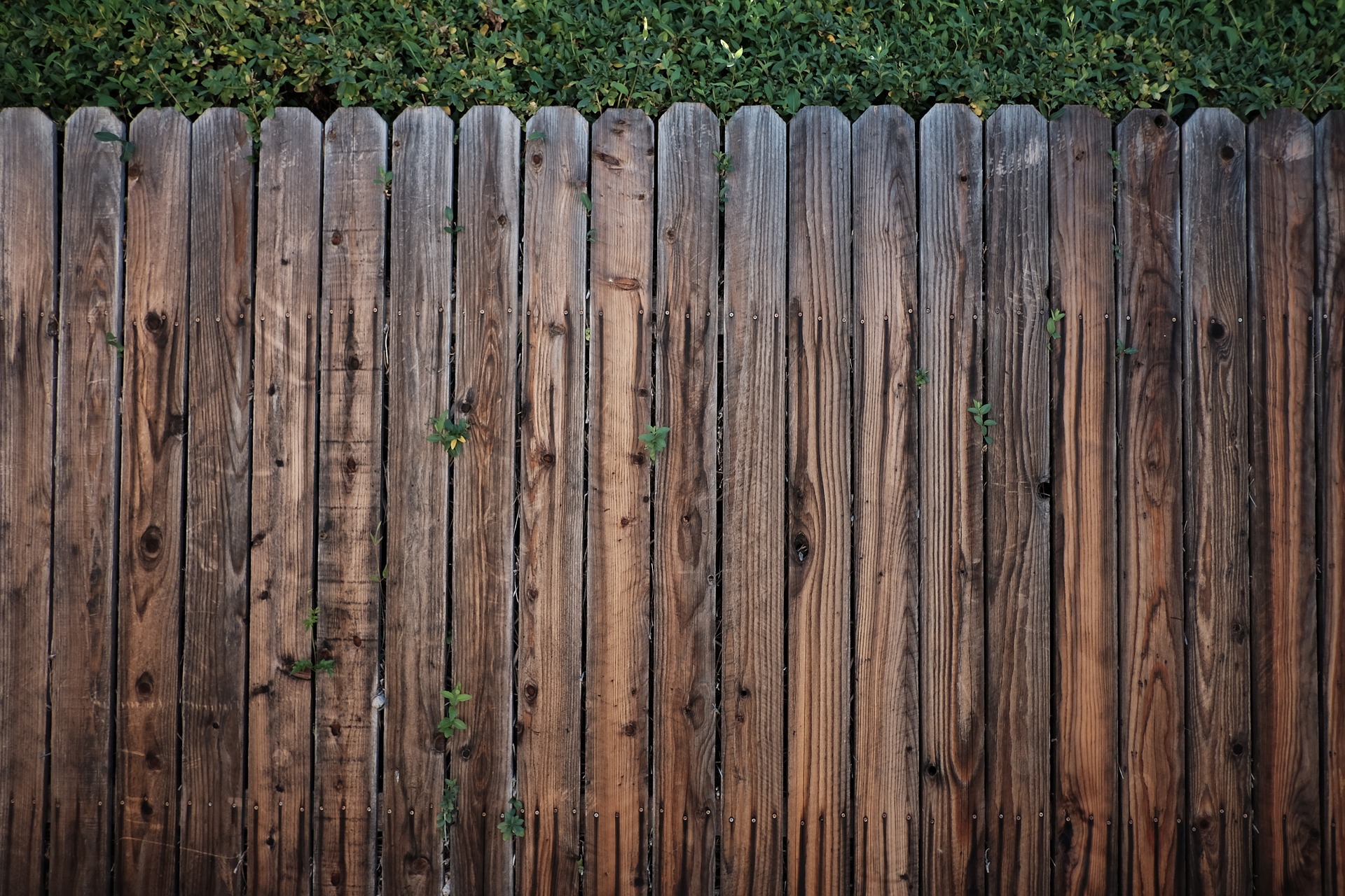 Fence Replacement